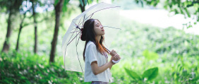 夏末雨林