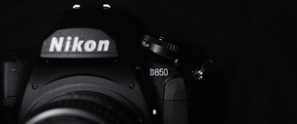 尼康 Nikon D850 - 攀高枝