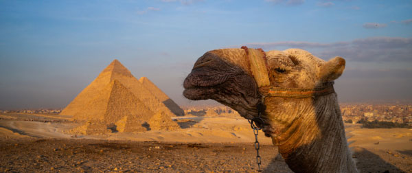 不光只有金字塔   寻访诞埃及五千年历史