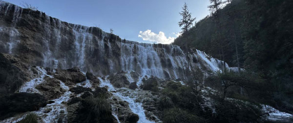 种草就要拔草,家族史上种拔草最快的一次家庭旅行