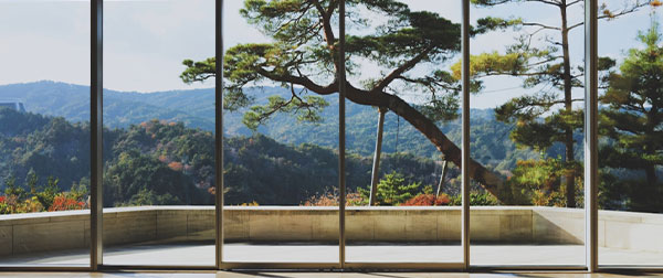 5万预算买相机心路历程 & 日本关西追枫拍摄